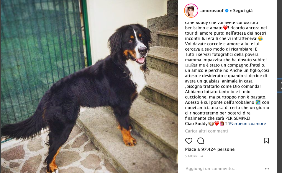 Musica Alessandra Amoroso Addio Al Cane Buddy Radionorba