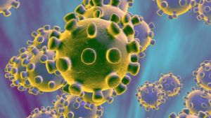 Coronavirus, i maschi più vulnerabili a causa del testosterone