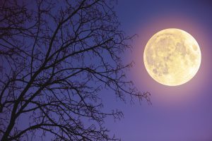 Stasera la “Super Luna” di maggio: la più grande e più luminosa del 2021