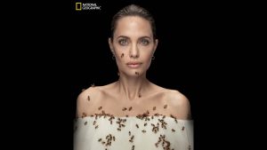 Angelina Jolie posa ricoperta di api