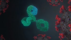 Foggia, al ‘Riuniti’ si sperimentano anticorpi monoclonali contro il Covid