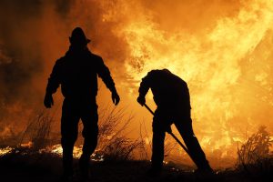 Incendio a pochi metri da Borgo Mezzanone, intossicati un carabiniere e un vigile del fuoco