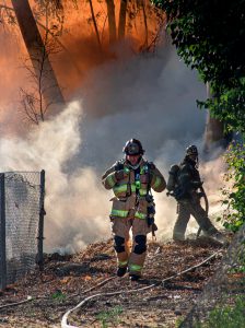 Incendi nel Salento, ettari di ulivi in fumo