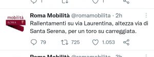“C’è un toro sulla Laurentina”. Il messaggio di Roma Mobilità scatena l’ironia dei social