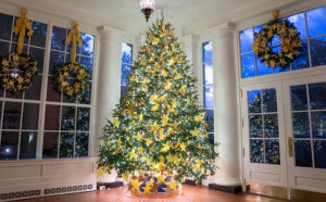 L’albero di Natale della casa Bianca dedicato alla gentilezza