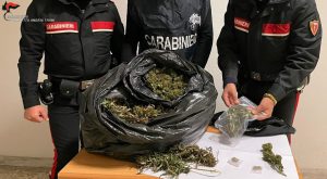 Nascondeva in casa otto chili di marijuana: arrestato un 19enne tunisino a Barletta. La denuncia è partita da un vicino