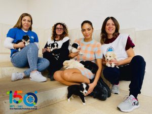 Otto cuccioli abbandonati salvati da Elodie in provincia di Foggia