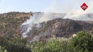 Caldo record, Puglia in fiamme: incendi da nord a sud, un centinaio gli ettari bruciati