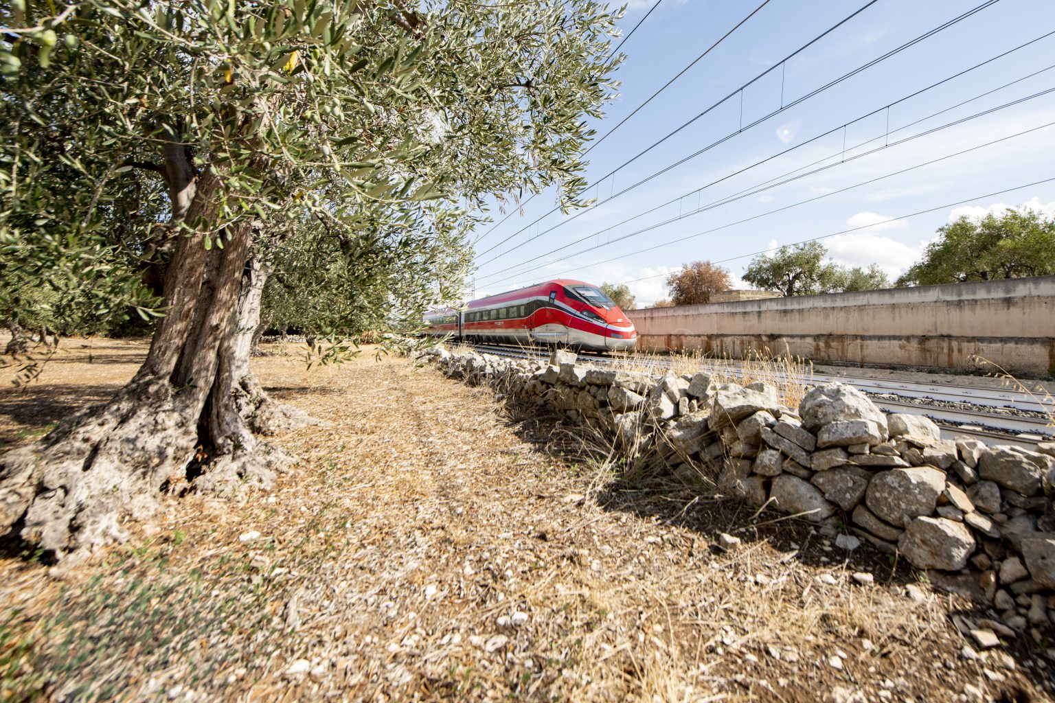 La Puglia A Portata Di Treno E Bus Con I Collegamenti Di Trenitalia Per