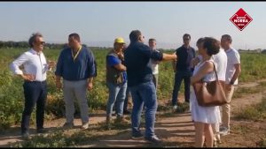Pomodori, a Foggia accordo tra Asl e Coldiretti per la tutela della salute dei braccianti